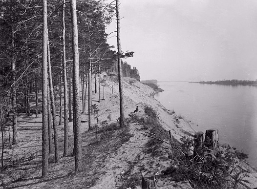Вид реки Волги у Моховых гор. 1894 г. с. Бор, Нижегородская губерния