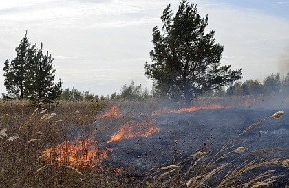 МЧС предупреждает о  высокой пожароопасности лесов и торфяников
