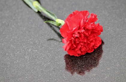 Мемориальные доски в память о трех погибших на Украине военнослужащих установят на Бору